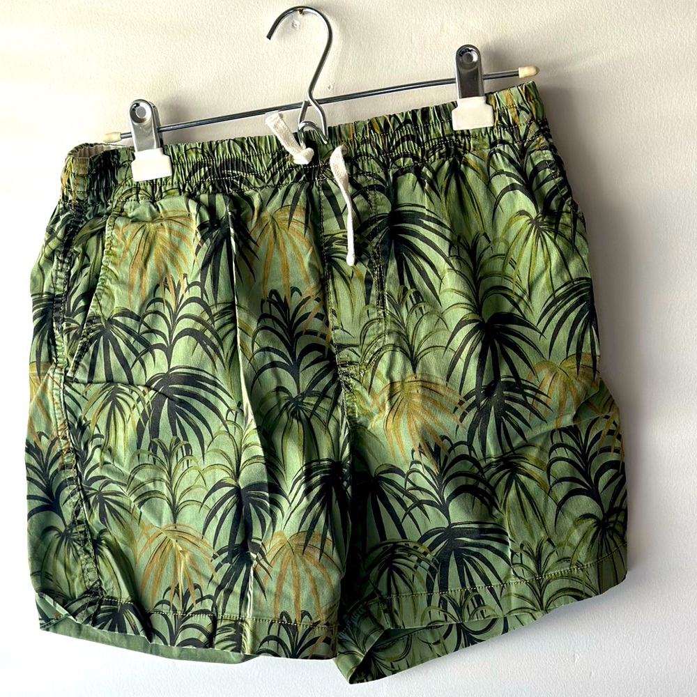 J Crew Dock Shorts